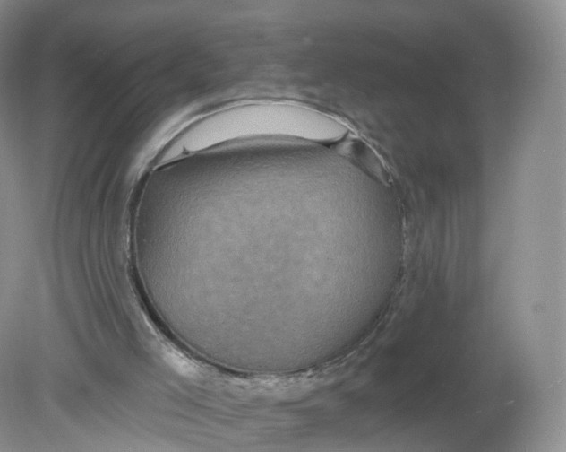 X0000078870005200612042010