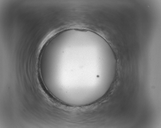 X0000078870007200612042010