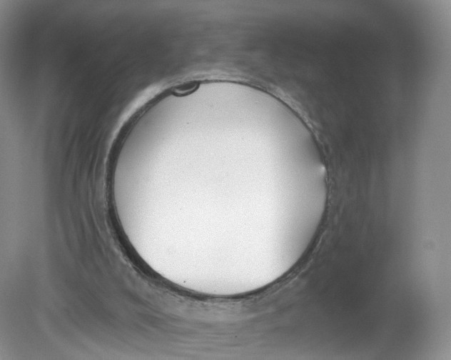 X0000078870008200612042010