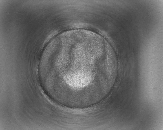 X0000078870010200612042010