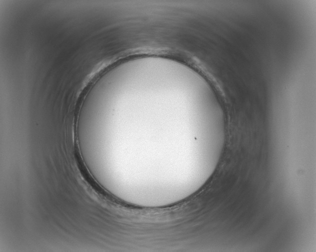 X0000078870011200612042010