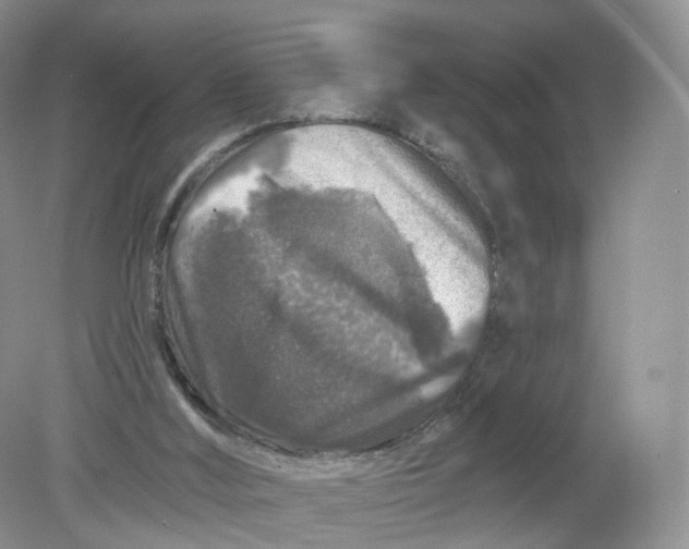 X0000078870012200612042010