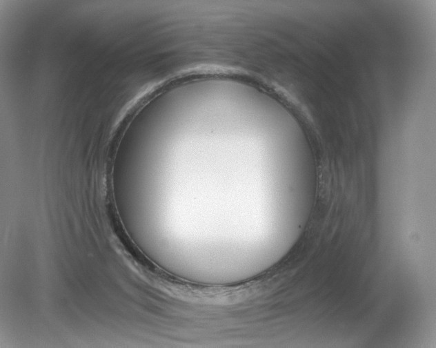 X0000078870015200612042010