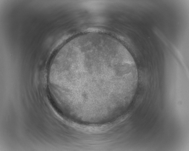 X0000078870016200612042010