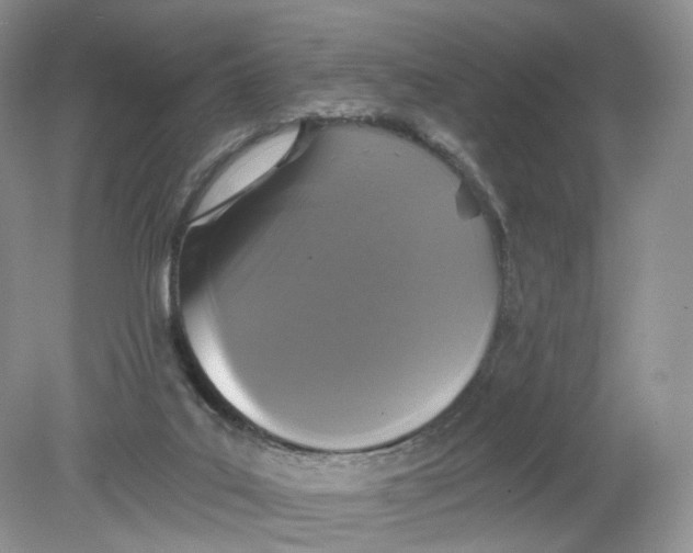 X0000078870019200612042010