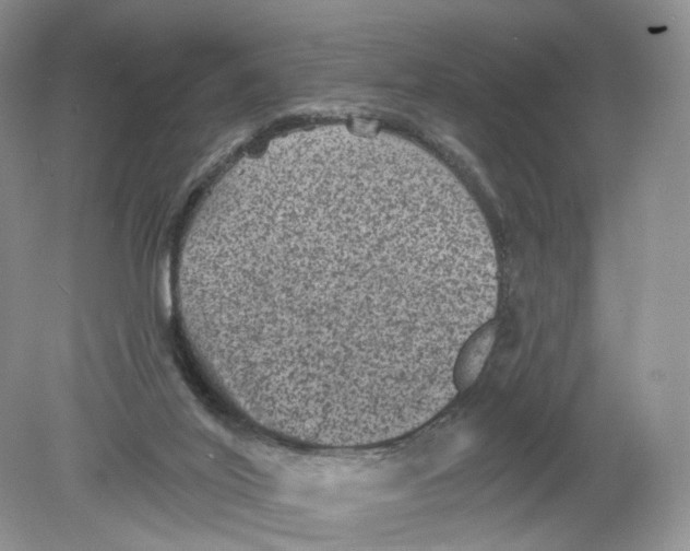 X0000078870020200612042010