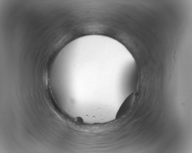 X0000078870021200612042010