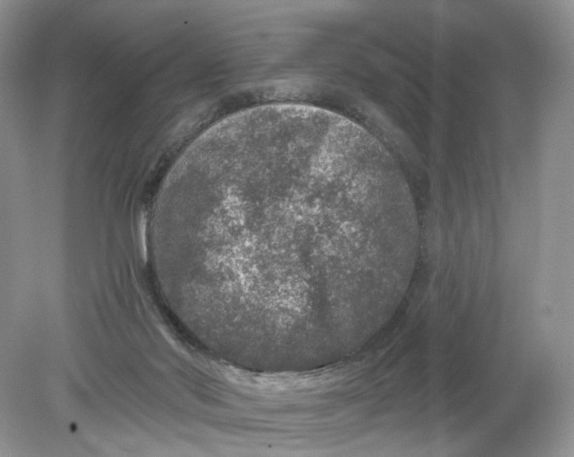 X0000078870022200612042010