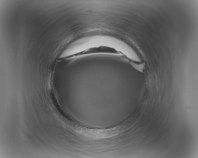 X0000078870023200612042010