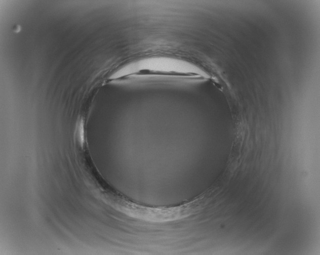 X0000078870027200612042010