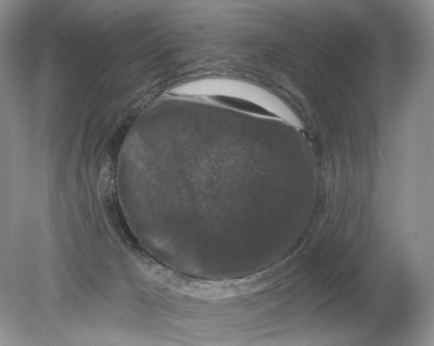 X0000078870029200612042010