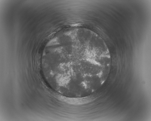 X0000078870030200612042010