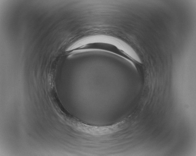 X0000078870031200612042010