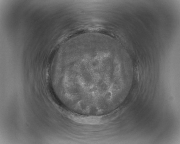 X0000078870032200612042010