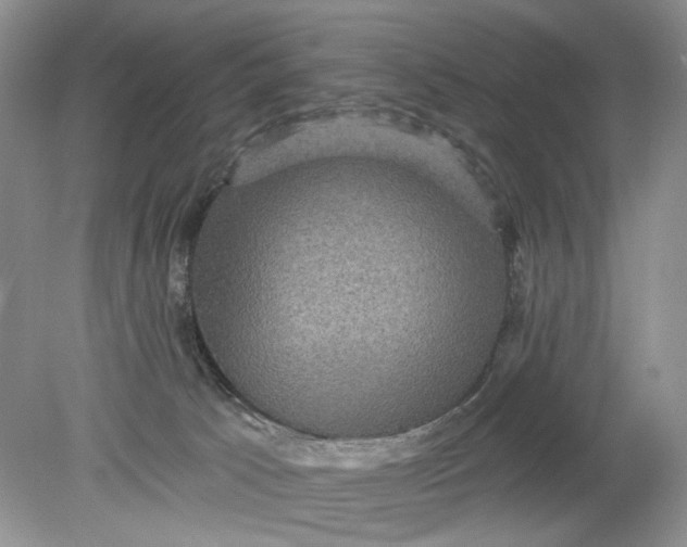 X0000078870033200612042010