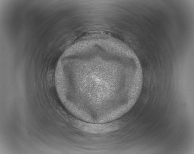 X0000078870034200612042010