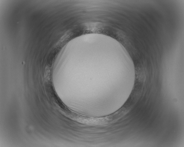 X0000078870036200612042009