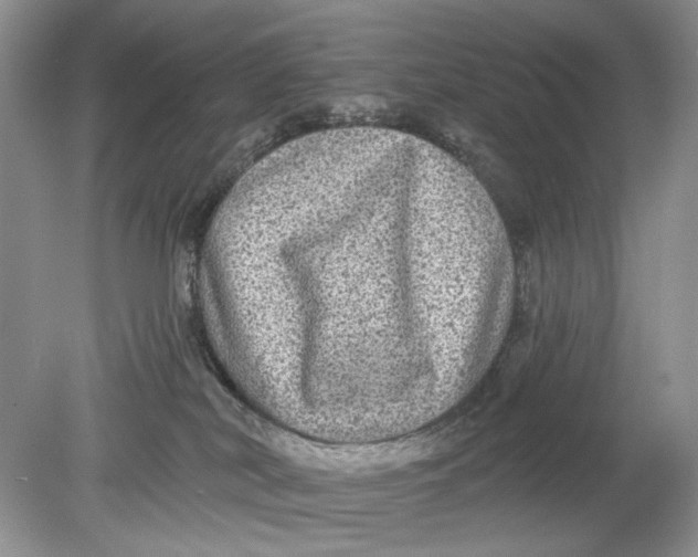 X0000078870038200612042009