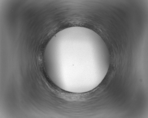 X0000078870040200612042009