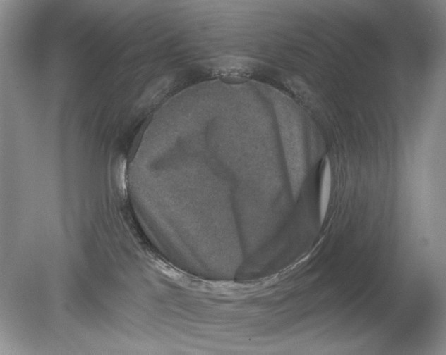 X0000078870041200612042009