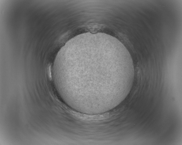 X0000078870042200612042009