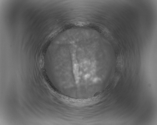 X0000078870043200612042009