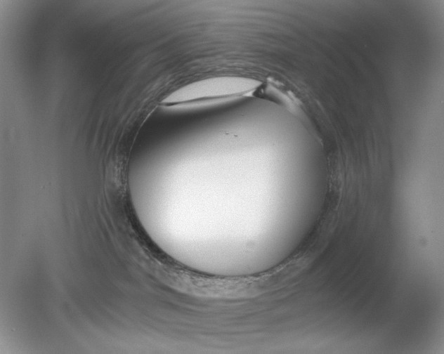 X0000078870044200612042009