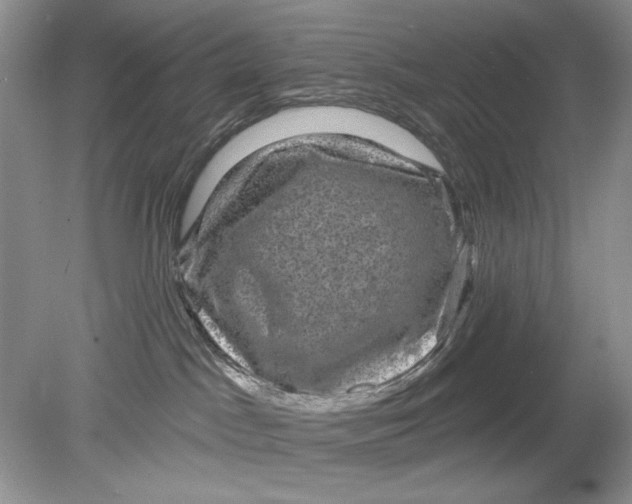 X0000078870045200612042009