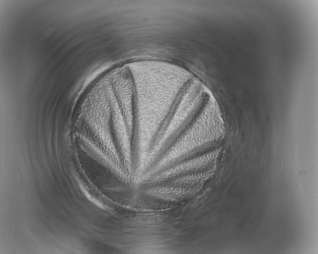 X0000078870050200612042008