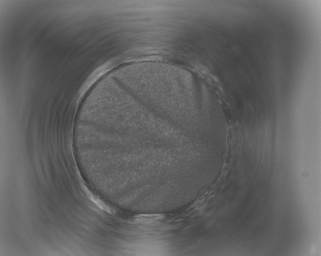 X0000078870051200612042009