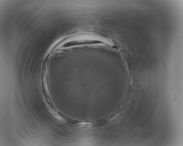 X0000078870052200612042009