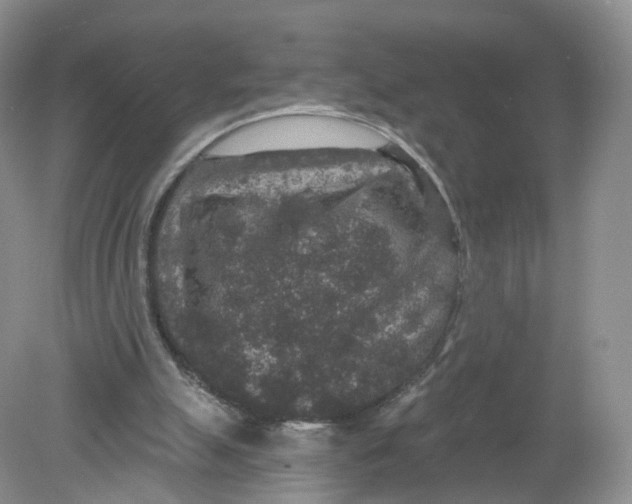 X0000078870055200612042009