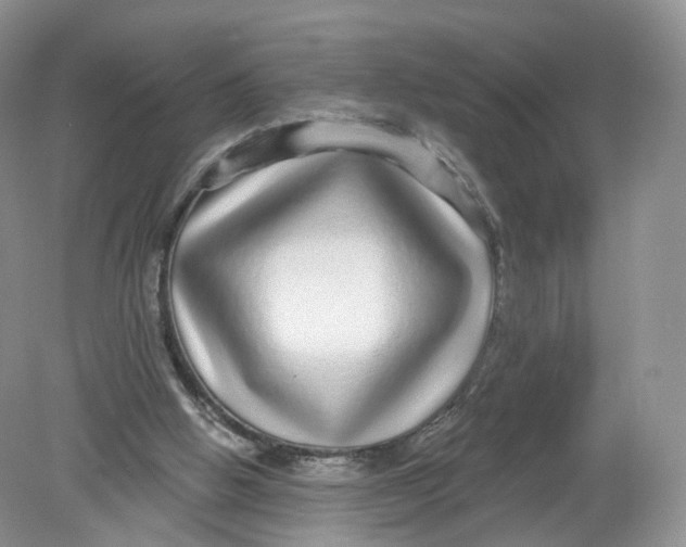 X0000078870058200612042009