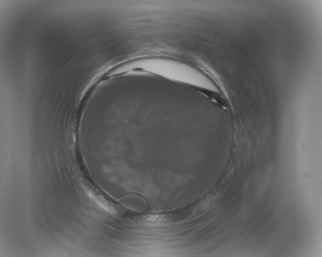 X0000078870059200612042009