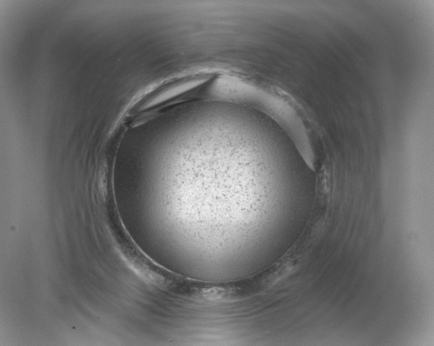 X0000078870064200612042009