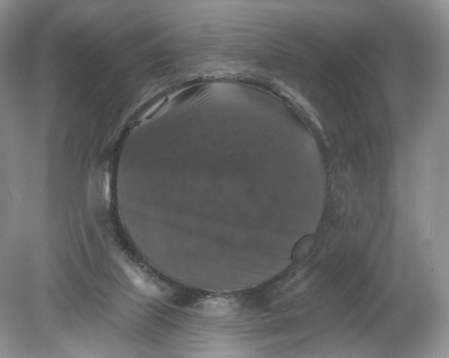 X0000078870067200612042009