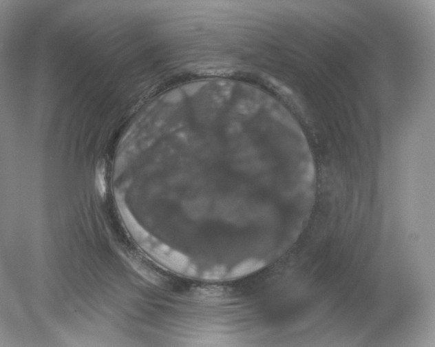 X0000078870069200612042009