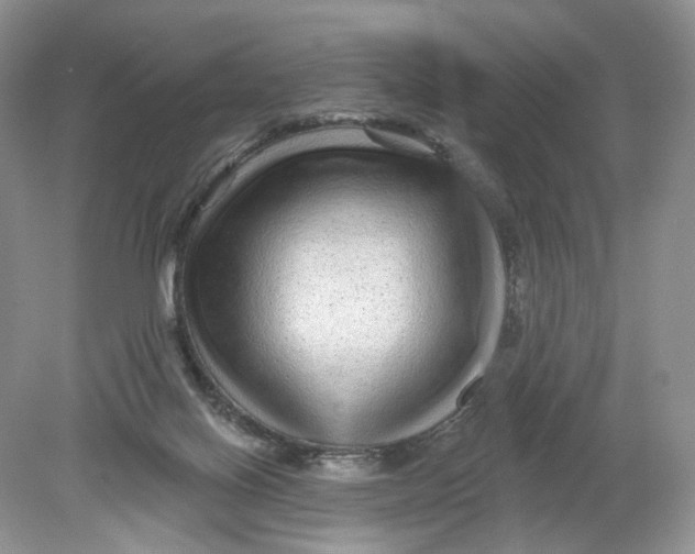 X0000078870070200612042009