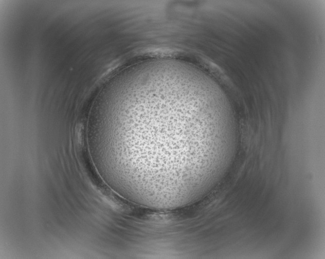 X0000078870071200612042009