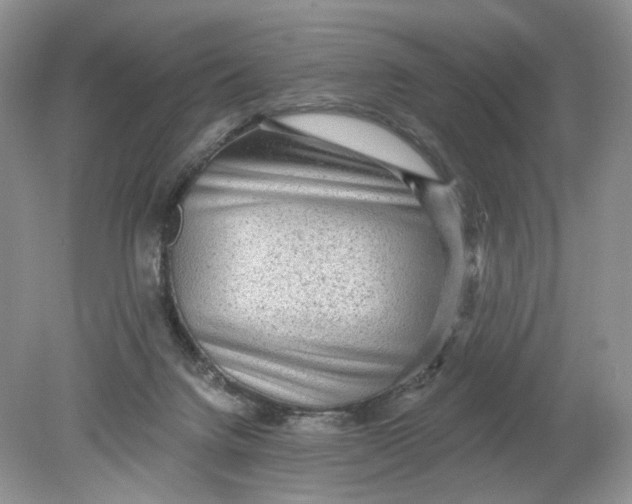 X0000078870072200612042009