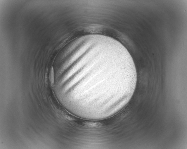 X0000078870073200612042009