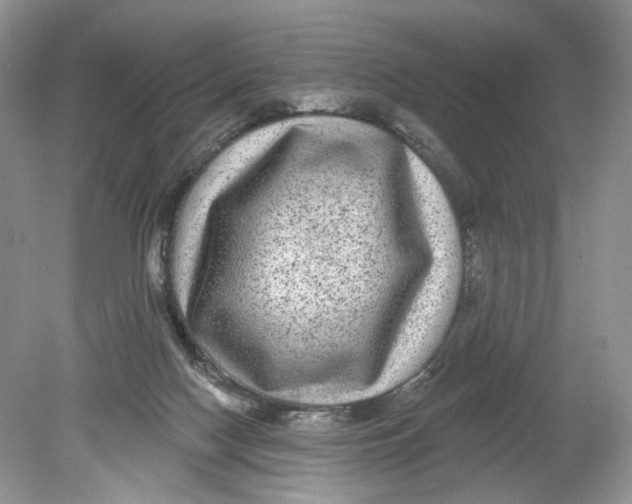 X0000078870074200612042009