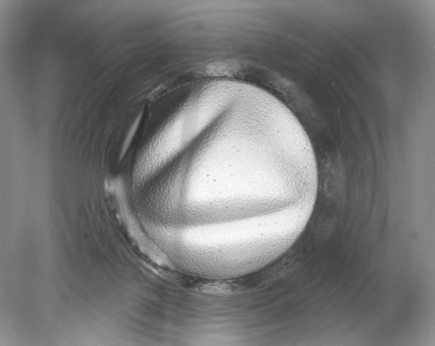 X0000078870075200612042009