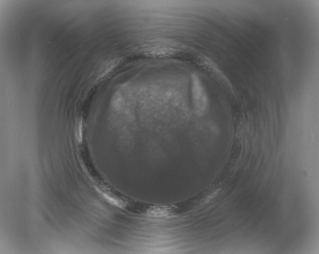 X0000078870076200612042009