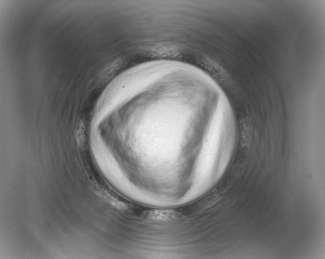 X0000078870077200612042009