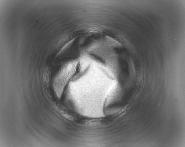 X0000078870078200612042009