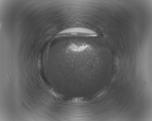 X0000078870080200612042009