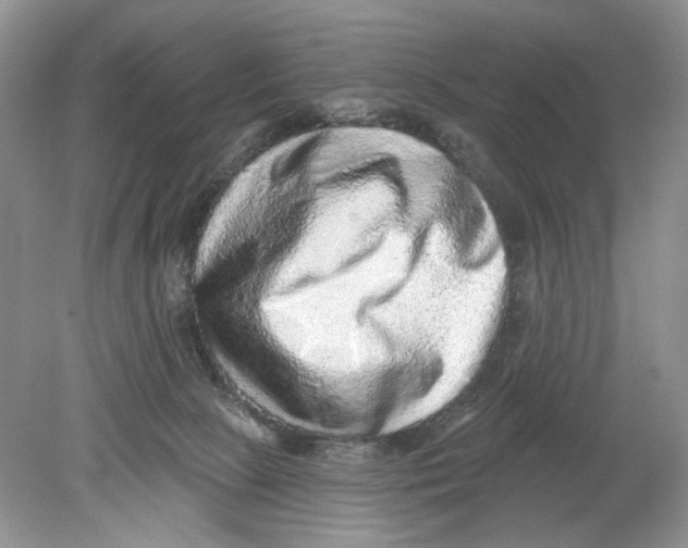 X0000078870081200612042009