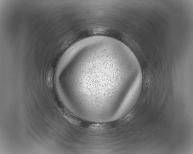 X0000078870082200612042009