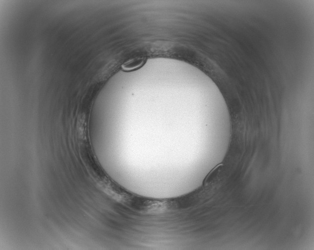 X0000078870083200612042009